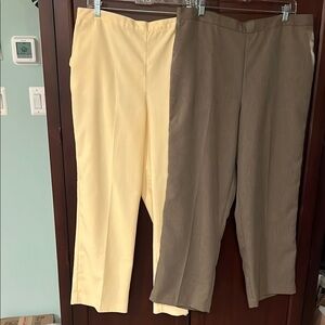 Stylish Yellow and Brown Women's Pants